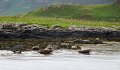 DSC03397