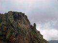 DSC03406