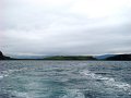 DSC03439