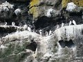 DSC03453
