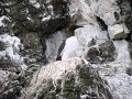 DSC03454