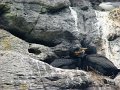 DSC03462