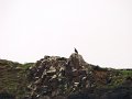 DSC03478