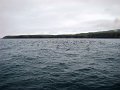 DSC03526