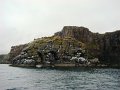 DSC03530