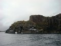 DSC03531