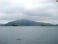DSC03534