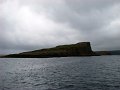 DSC03542