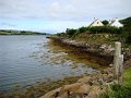DSC03555