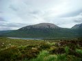 DSC03699