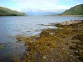 DSC03740