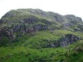 DSC03983