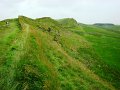 DSC05984