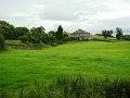 DSC05993