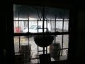 DSC06305