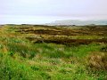 DSC06500
