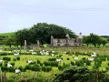 DSC06514