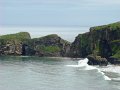 DSC06530