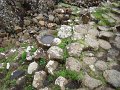 DSC06539
