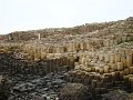 DSC06548