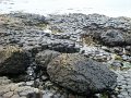 DSC06550