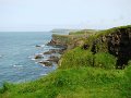 DSC06607