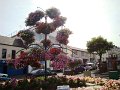 DSC06638