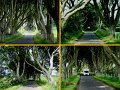 DarkHedges