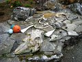 DSC07149