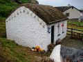 DSC07181