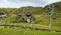 DSC07415