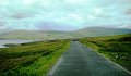 DSC07449