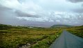 DSC07456