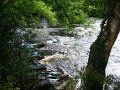 DSC07897