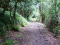 DSC07903