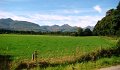 DSC07961