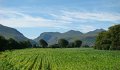 DSC07970