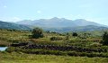 DSC08028