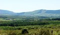 DSC08087