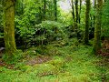 DSC08305