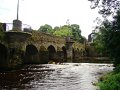 DSC08352