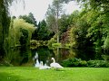 DSC08646