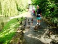 DSC08691