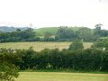 DSC08786