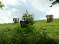 DSC09315