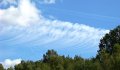 DSC09410