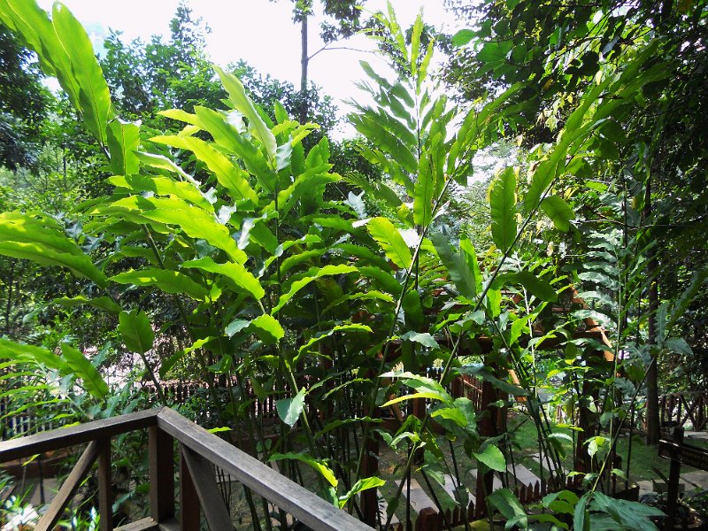 DSCN0217.JPG