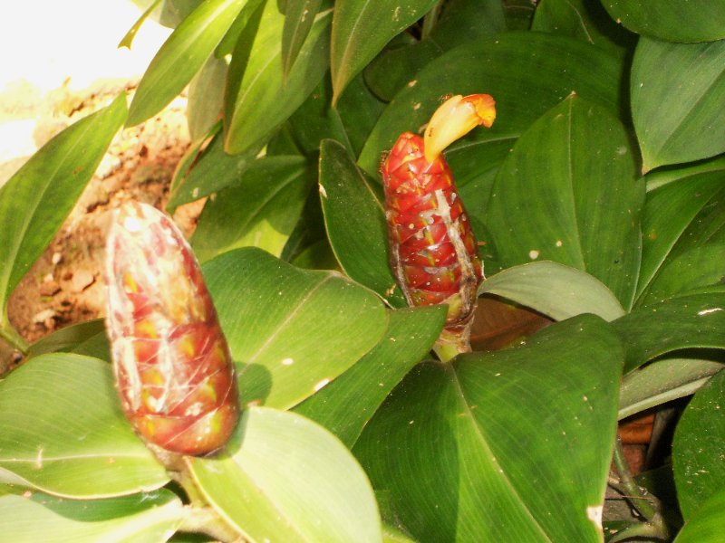 DSCN0218.JPG