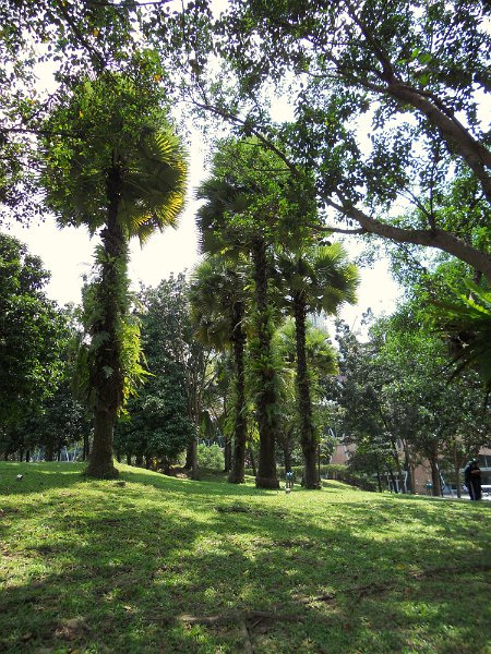 DSCN0248.JPG