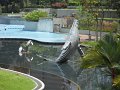 DSCN0244